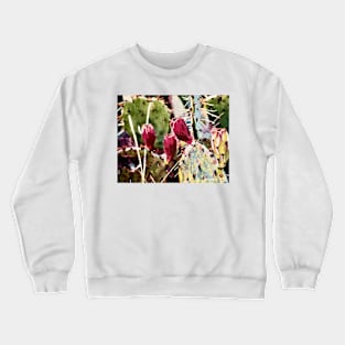 Texas Cactus Fantasy Crewneck Sweatshirt